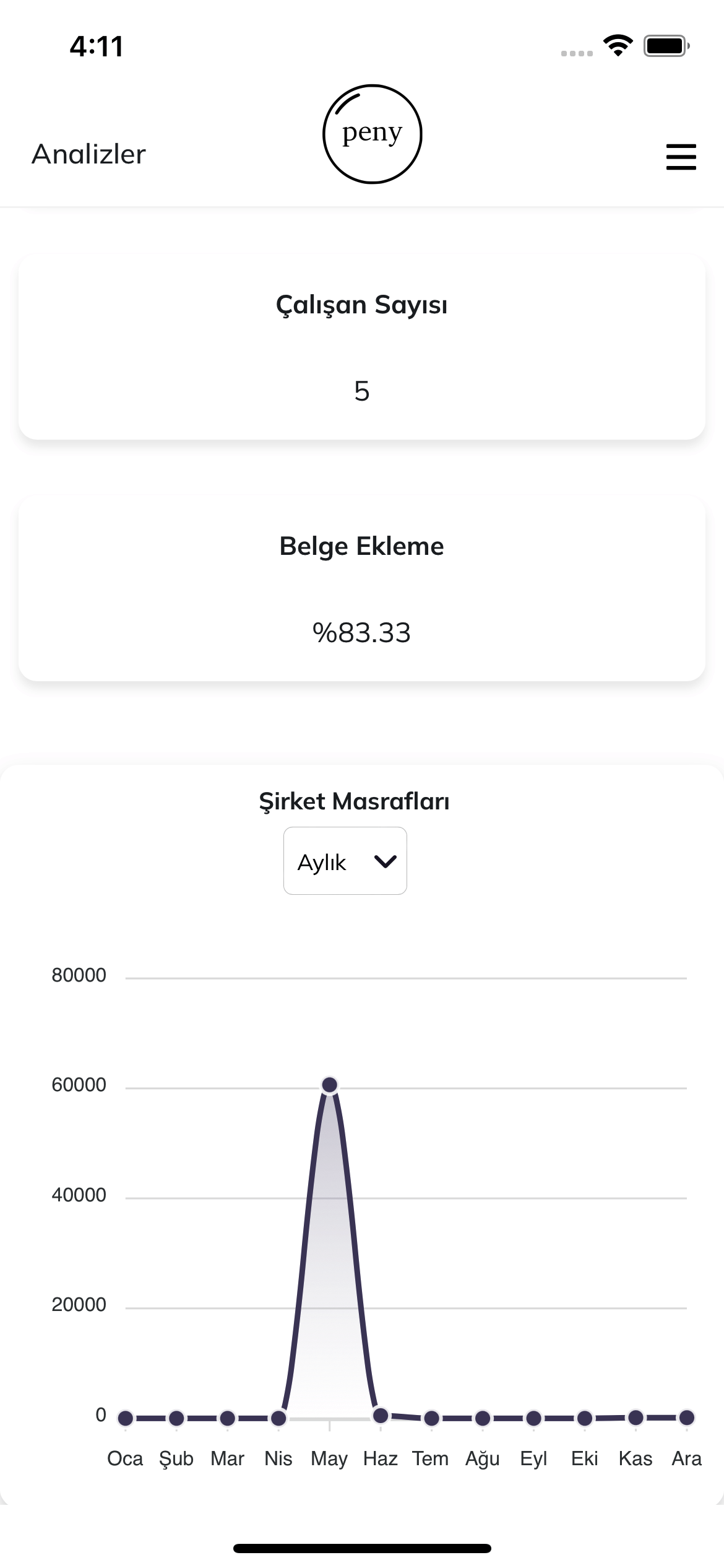 Analyics Page Mobile